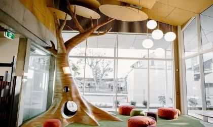 Rosewood_Tree_420x250_Feature_Image